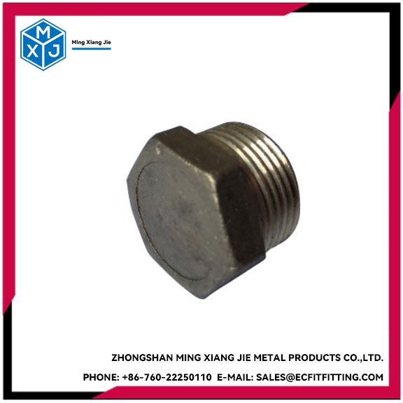 316 Series Plug Hexagon atau Square headed